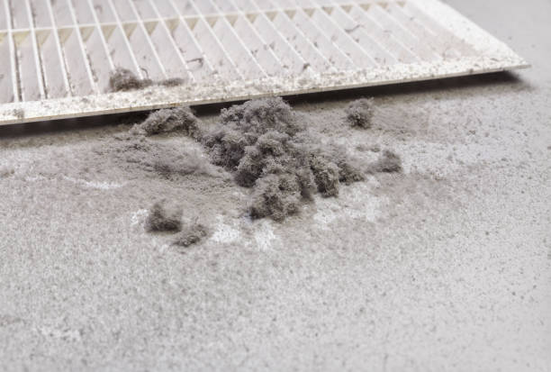 Best HVAC Air Duct Cleaning  in Gateway, AK